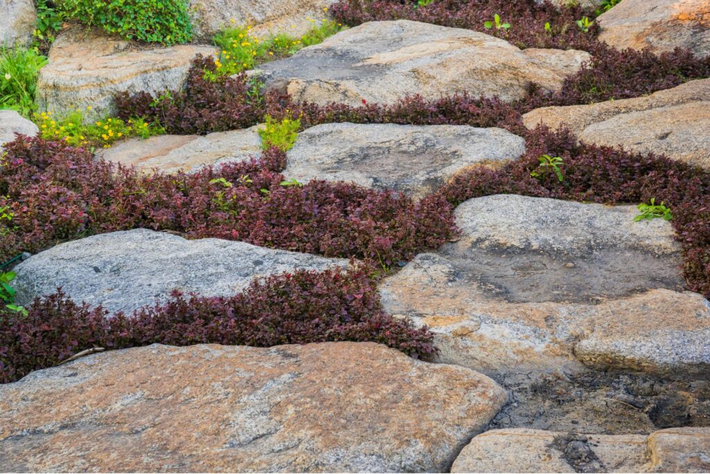 Ultimate Guide To Cost Of Large Landscaping Rocks NZ