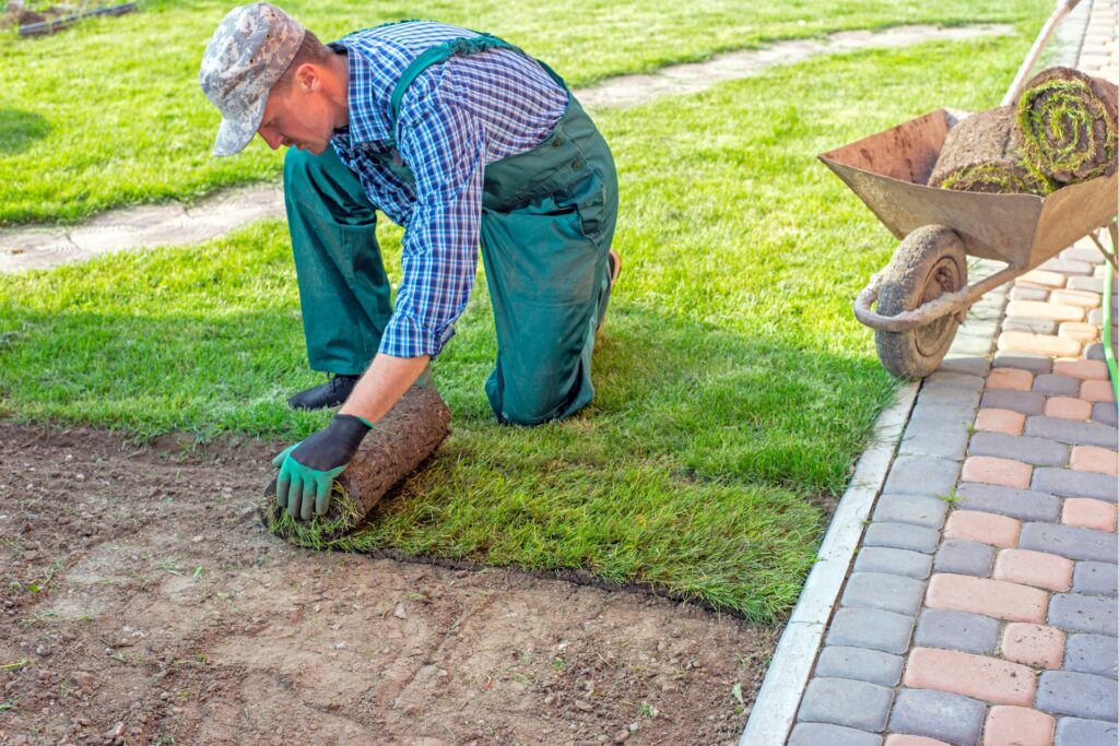 Ultimate Guide To Cost Of Landscaping Services Wellington